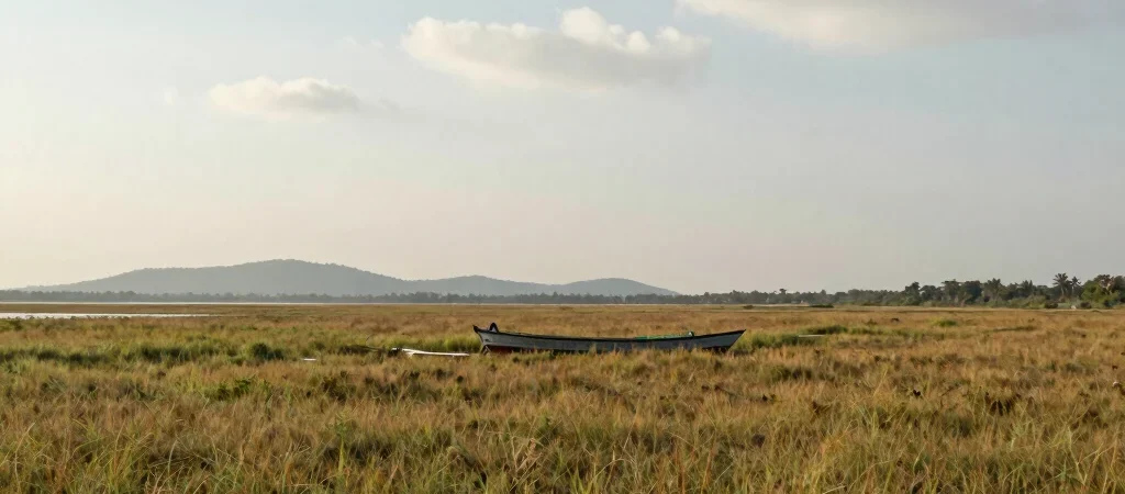 Tanguar Haor Stories Begin With Local Detail