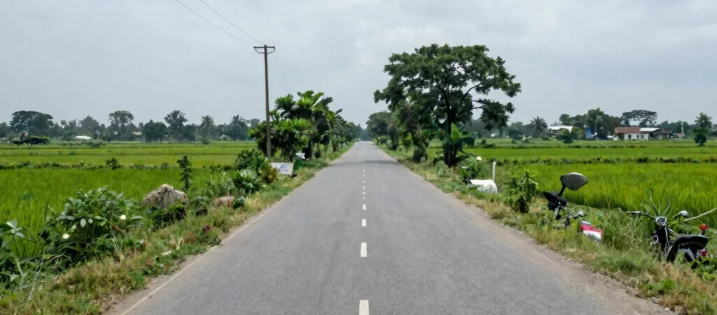 A Road Update Should Tell Readers Where